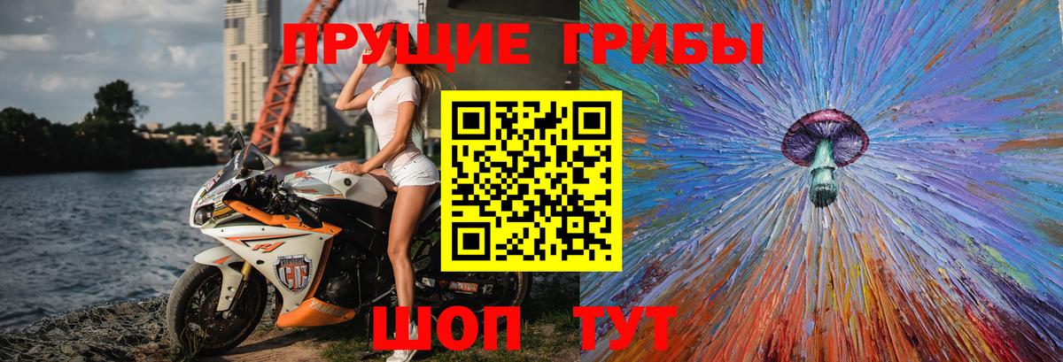 Псилоцибиновые грибы мицелий Самара